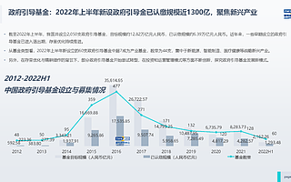 “政府引導基金不投消費VC”