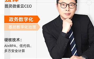 千億級政務數(shù)字化市場跑出新需求:圖靈微雀云探路基層治理數(shù)字化