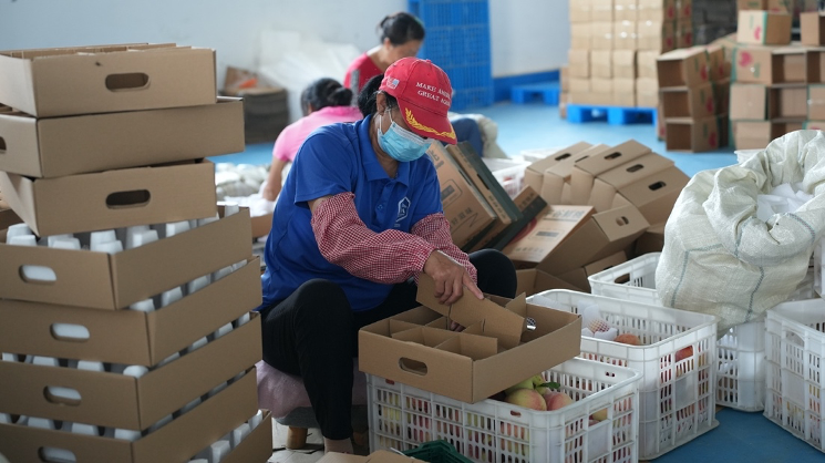 电商兴桃打造乡村振兴新样本