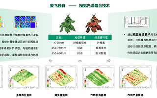 《看见新力量》NO.65｜专访麦飞科技创始人陈祺：以视觉光谱技术助力农业数字化