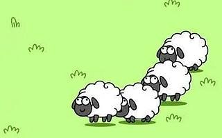 炸上热搜的羊，让老板买了两套房