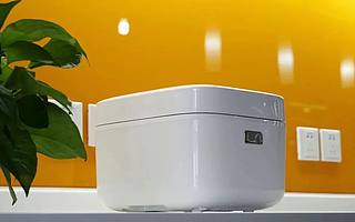 纯米困在电饭煲里