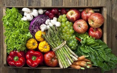  2023第十届中国上海国际有机食品产业展览会