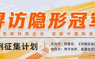 他把一颗螺丝钉年卖11亿，最终成了世界冠军｜寻访隐形冠军