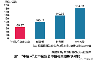 专精特新“小巨人”上市企业发展画像