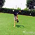 大树哥哥