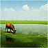 Paul_372519