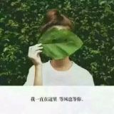 榕树下