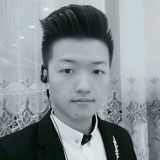 Vesslan