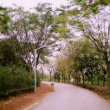 liangdong