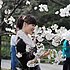 高妹