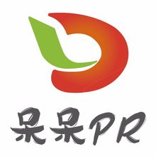 呆呆大数据公关<