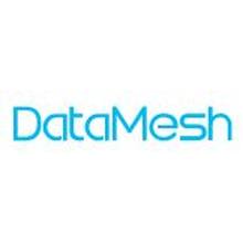 DataMesh<