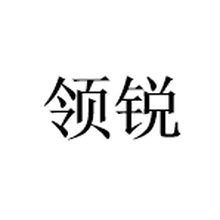 杭州领锐网络科技有限公司<