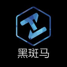 黑斑杭州黑斑马市场营销策划有限公司<