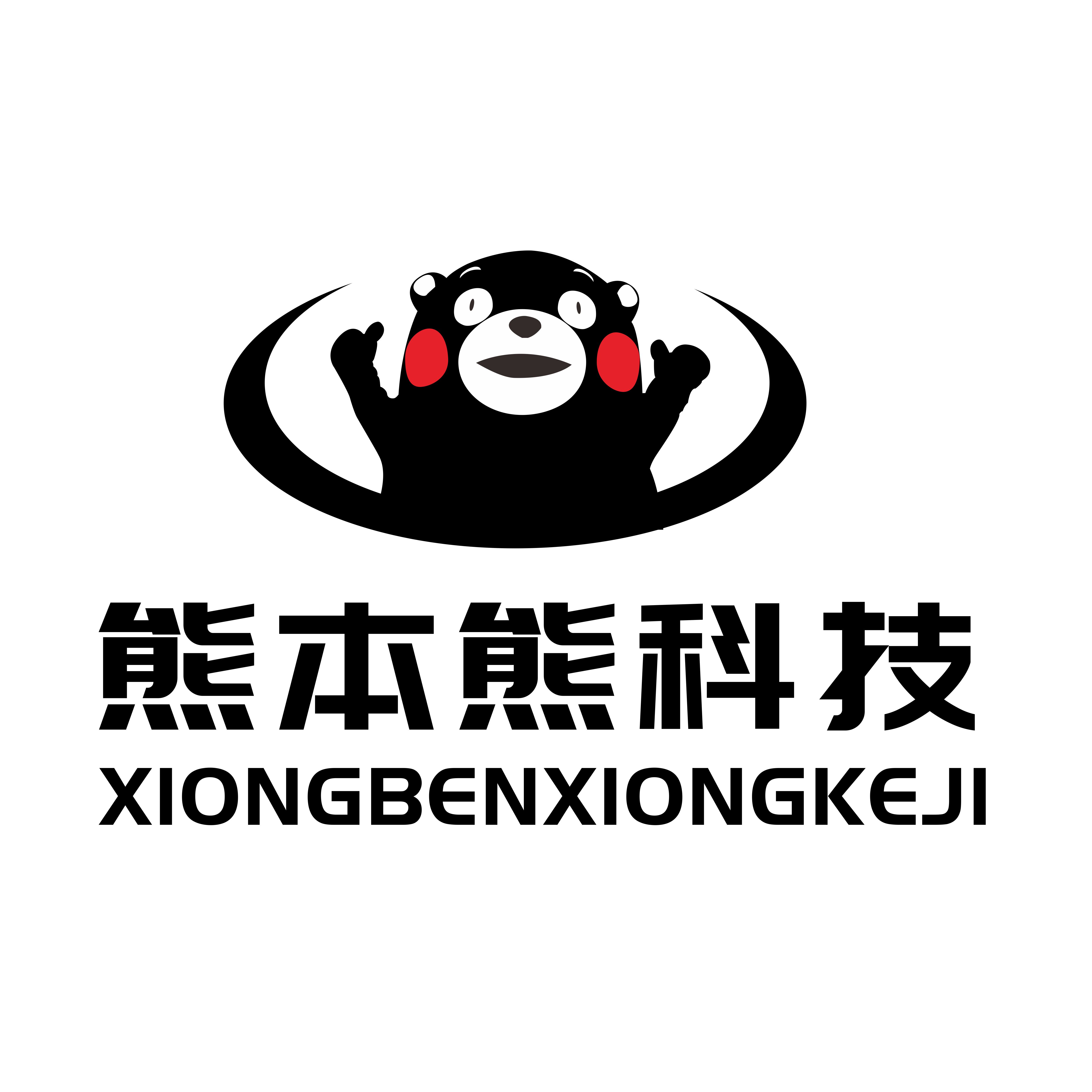 河南熊本熊科技