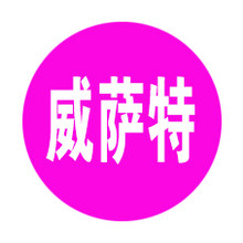 海宁市威萨特电子商务有限公司<