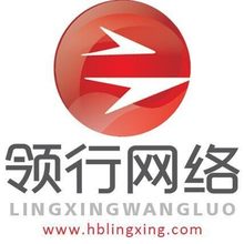 河北网络科技有限公司<