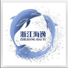 浙江海逸信息技术有限公司<