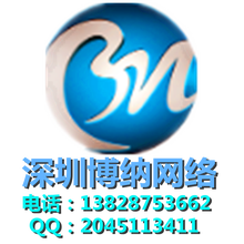 深圳市博纳网络信息技术有限公司<