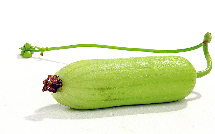 "白关丝瓜"提质增效项目