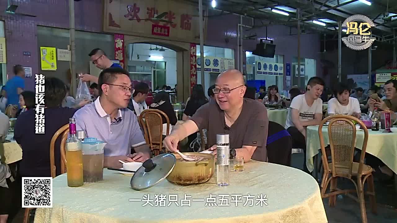 猪肉大王陈生坦言中国传统猪已经濒临灭绝