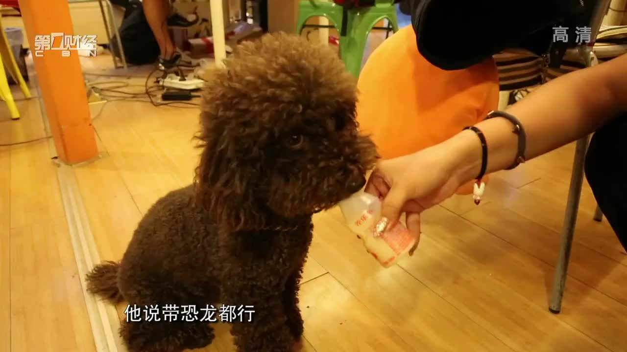 上班不打卡，啤酒随便喝，可以带宠物上班的公司~