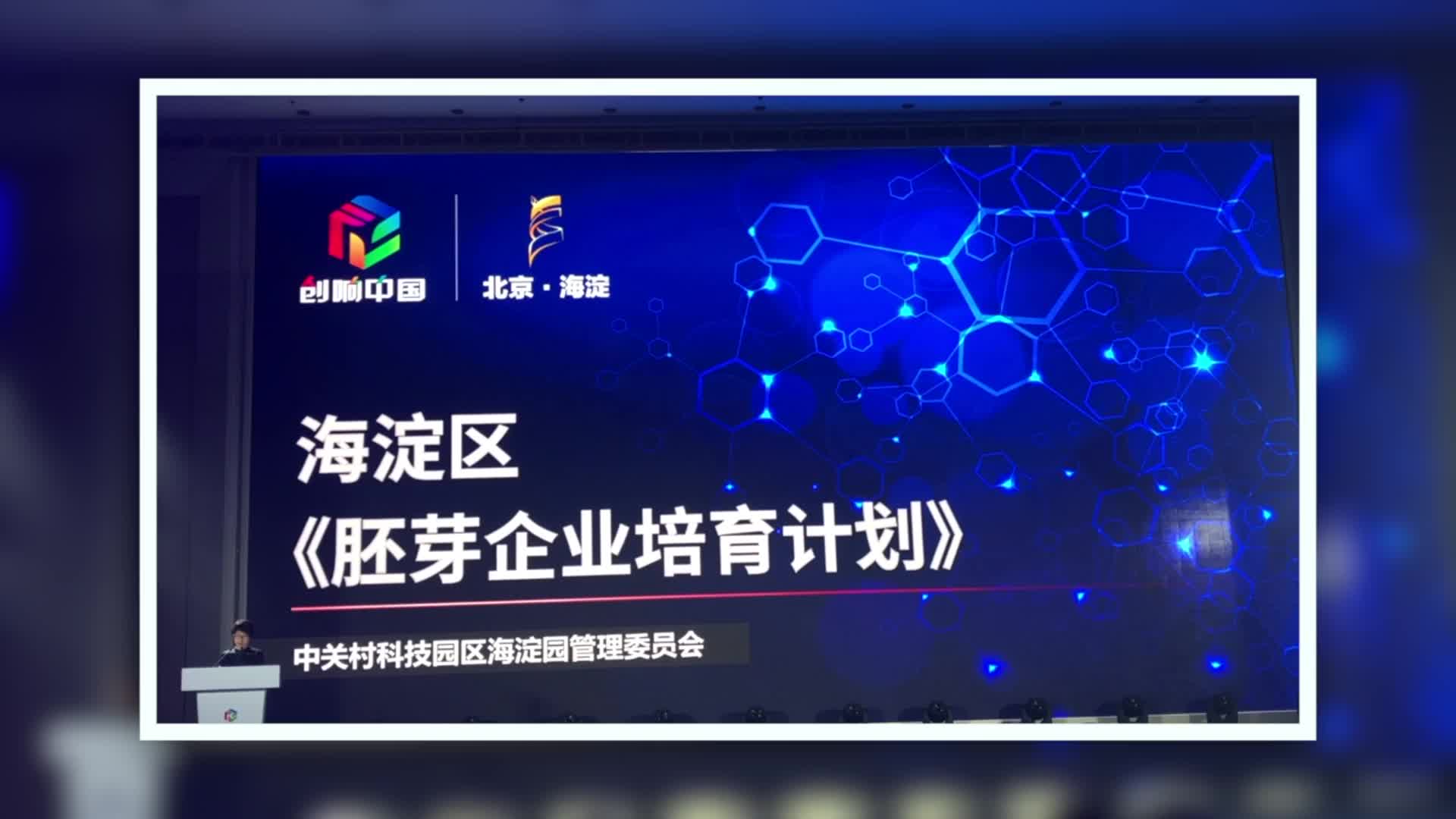 海淀区副区长李长萍发布《胚芽企业培育计划》