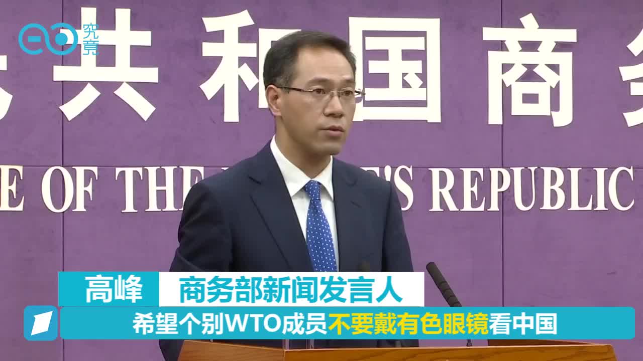 希望个别WTO成员不要戴有色眼镜看中国