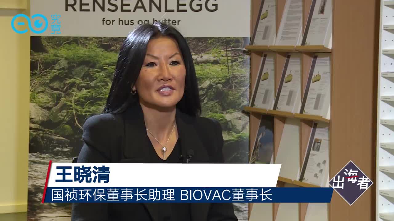 国祯环保的国际化战略
