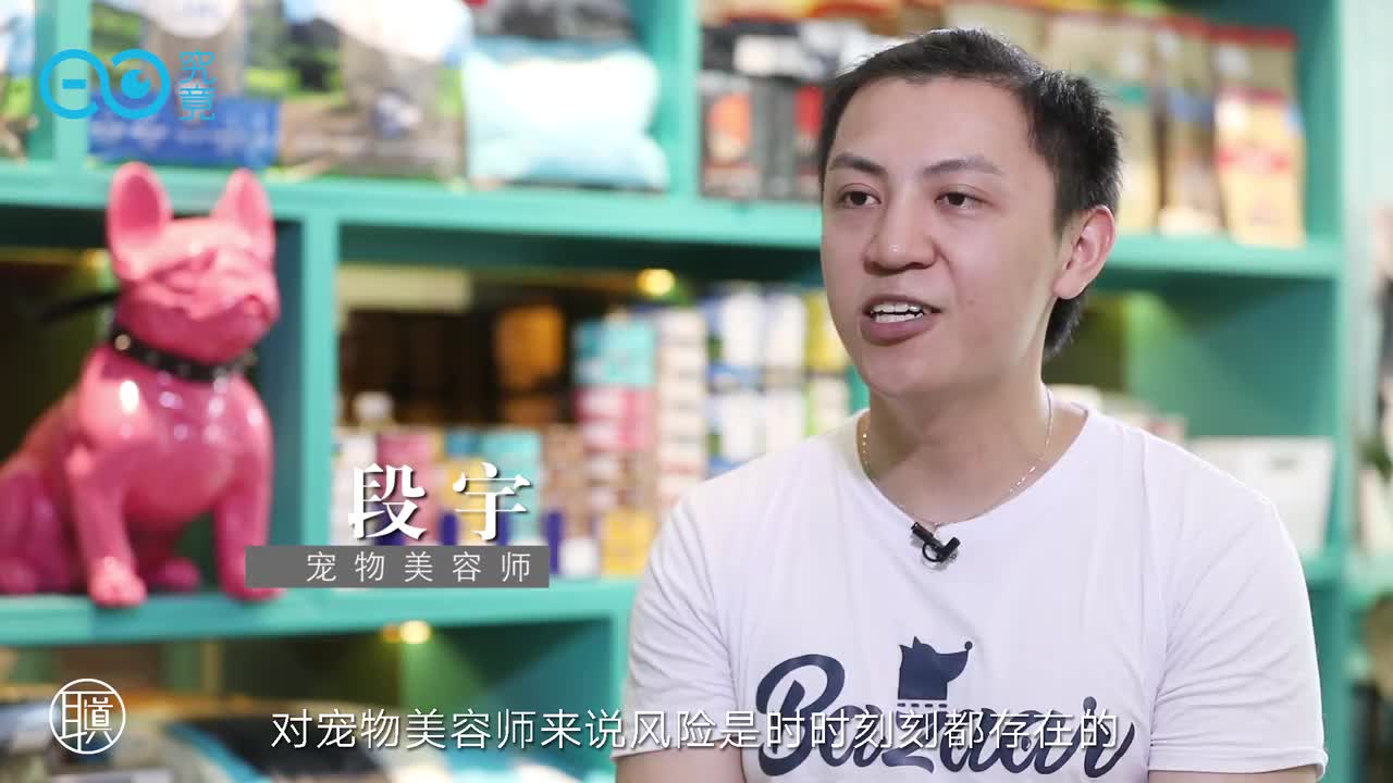 想成为合格的宠物美容师仅有对宠物的喜爱还不够!