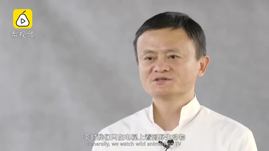 马云最新大片：号召保护野生动物